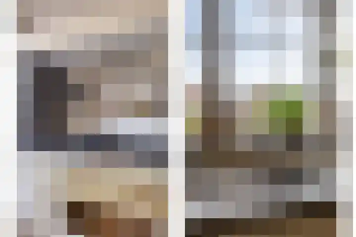 Scheldestroom 37 Zoetermeer thumbnail 16