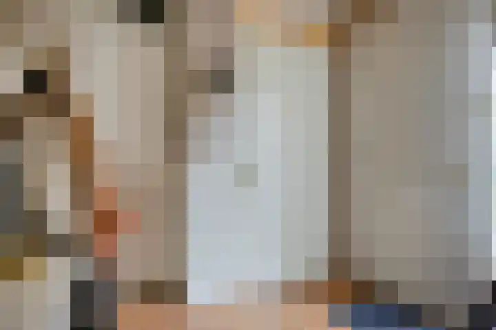 Scheldestroom 37 Zoetermeer thumbnail 17