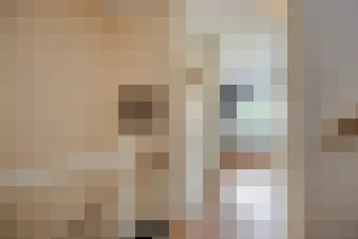 Scheldestroom 37 Zoetermeer thumbnail 19
