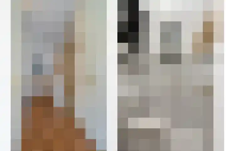 Scheldestroom 37 Zoetermeer thumbnail 20