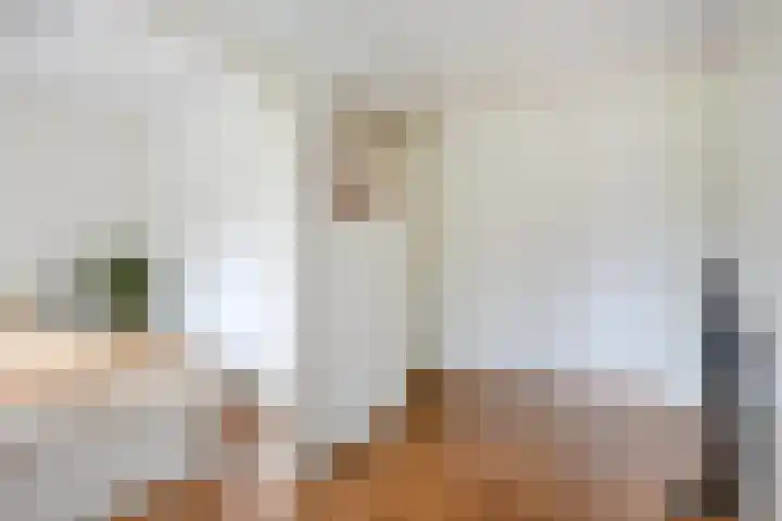 Scheldestroom 37 Zoetermeer thumbnail 21