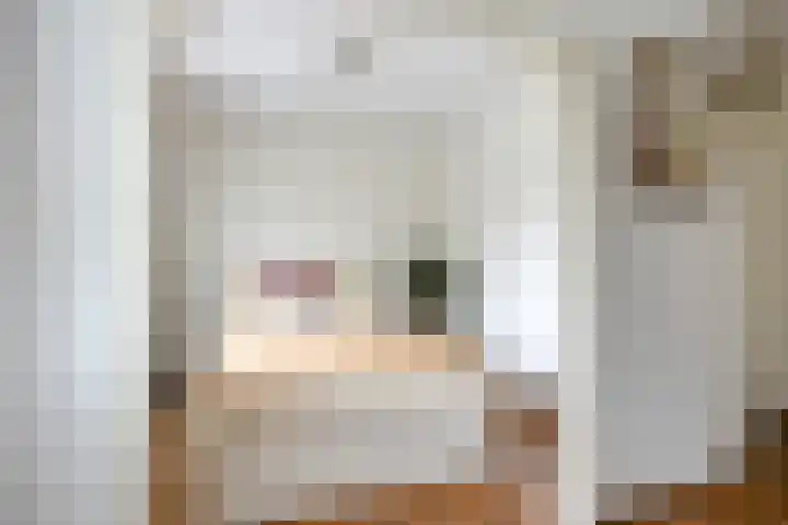 Scheldestroom 37 Zoetermeer thumbnail 22