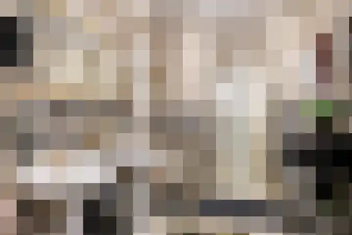 Scheldestroom 37 Zoetermeer thumbnail 27