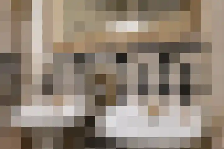 Scheldestroom 37 Zoetermeer thumbnail 28
