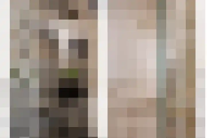 Scheldestroom 37 Zoetermeer thumbnail 30