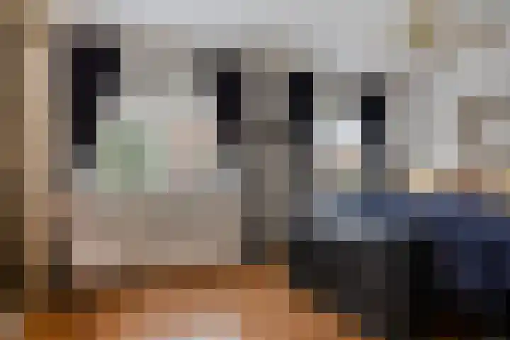Scheldestroom 37 Zoetermeer thumbnail 31