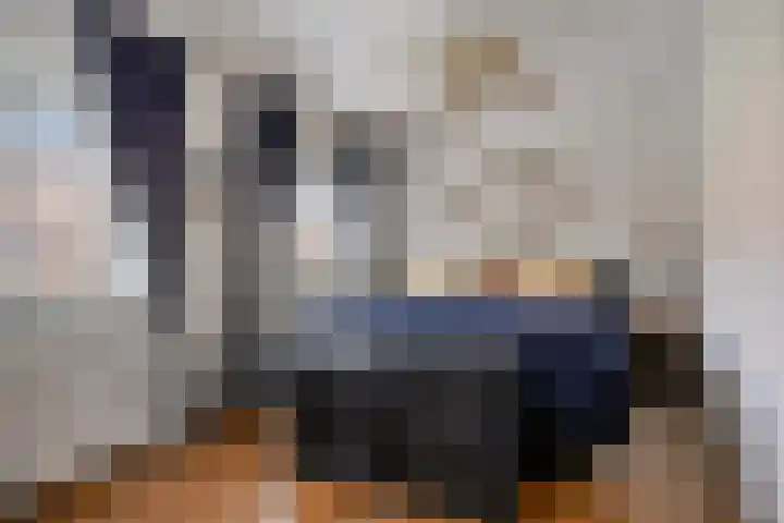 Scheldestroom 37 Zoetermeer thumbnail 32