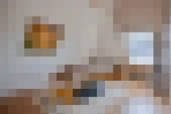 Scheldestroom 37 Zoetermeer thumbnail 35