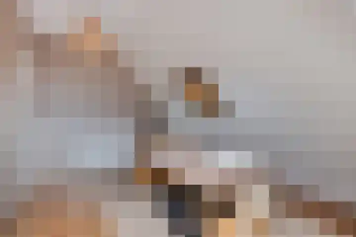 Scheldestroom 37 Zoetermeer thumbnail 36
