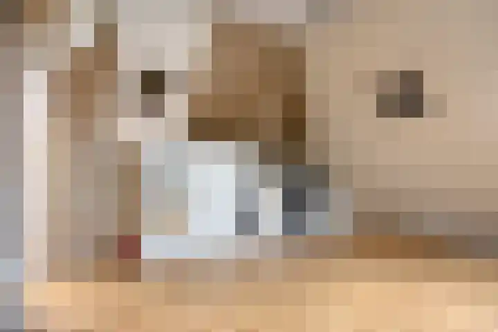 Scheldestroom 37 Zoetermeer thumbnail 37