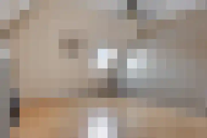 Scheldestroom 37 Zoetermeer thumbnail 38