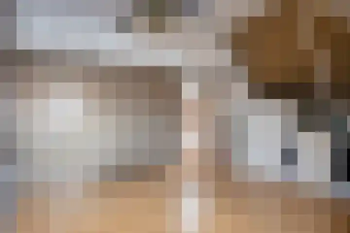Scheldestroom 37 Zoetermeer thumbnail 39