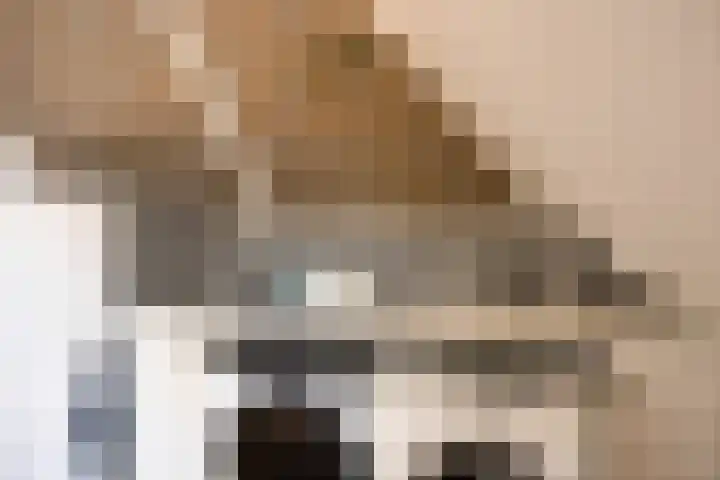 Scheldestroom 37 Zoetermeer thumbnail 40