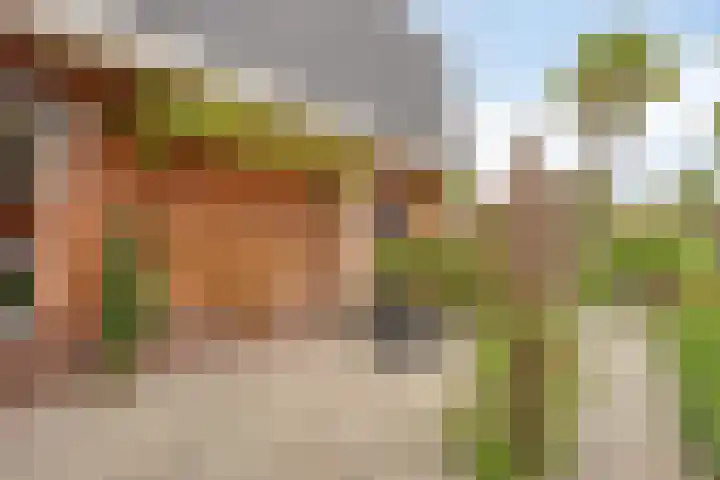 Scheldestroom 37 Zoetermeer thumbnail 43
