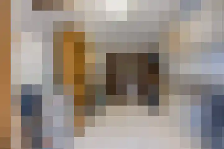Scheldestroom 37 Zoetermeer thumbnail 44