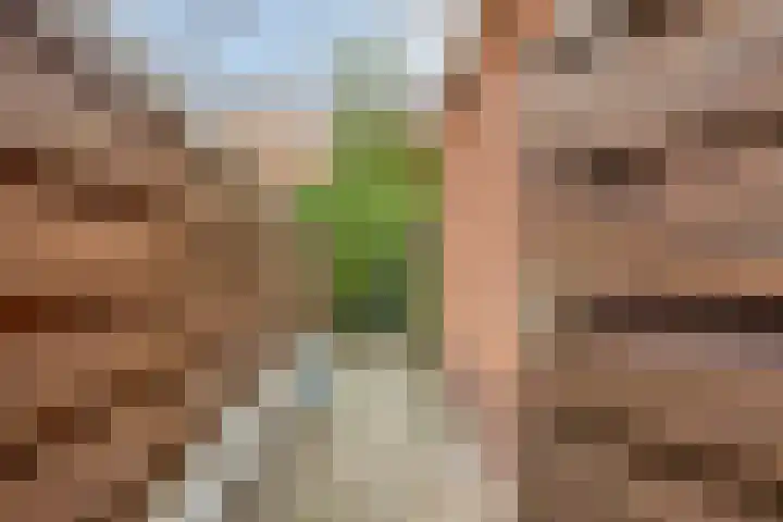 Scheldestroom 37 Zoetermeer thumbnail 47