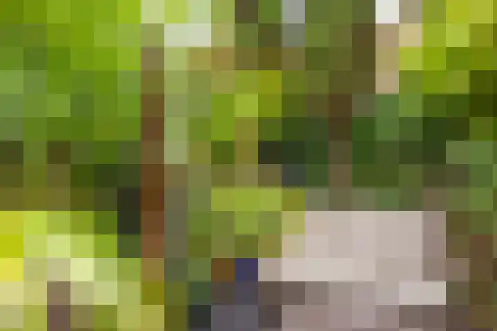 Scheldestroom 37 Zoetermeer thumbnail 51