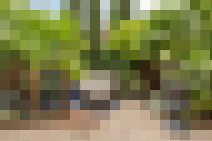 Scheldestroom 37 Zoetermeer thumbnail 8