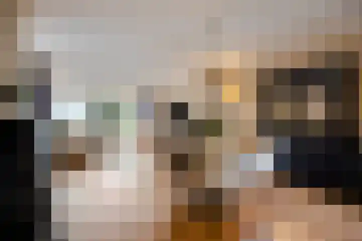 Scheldestroom 37 Zoetermeer thumbnail 9