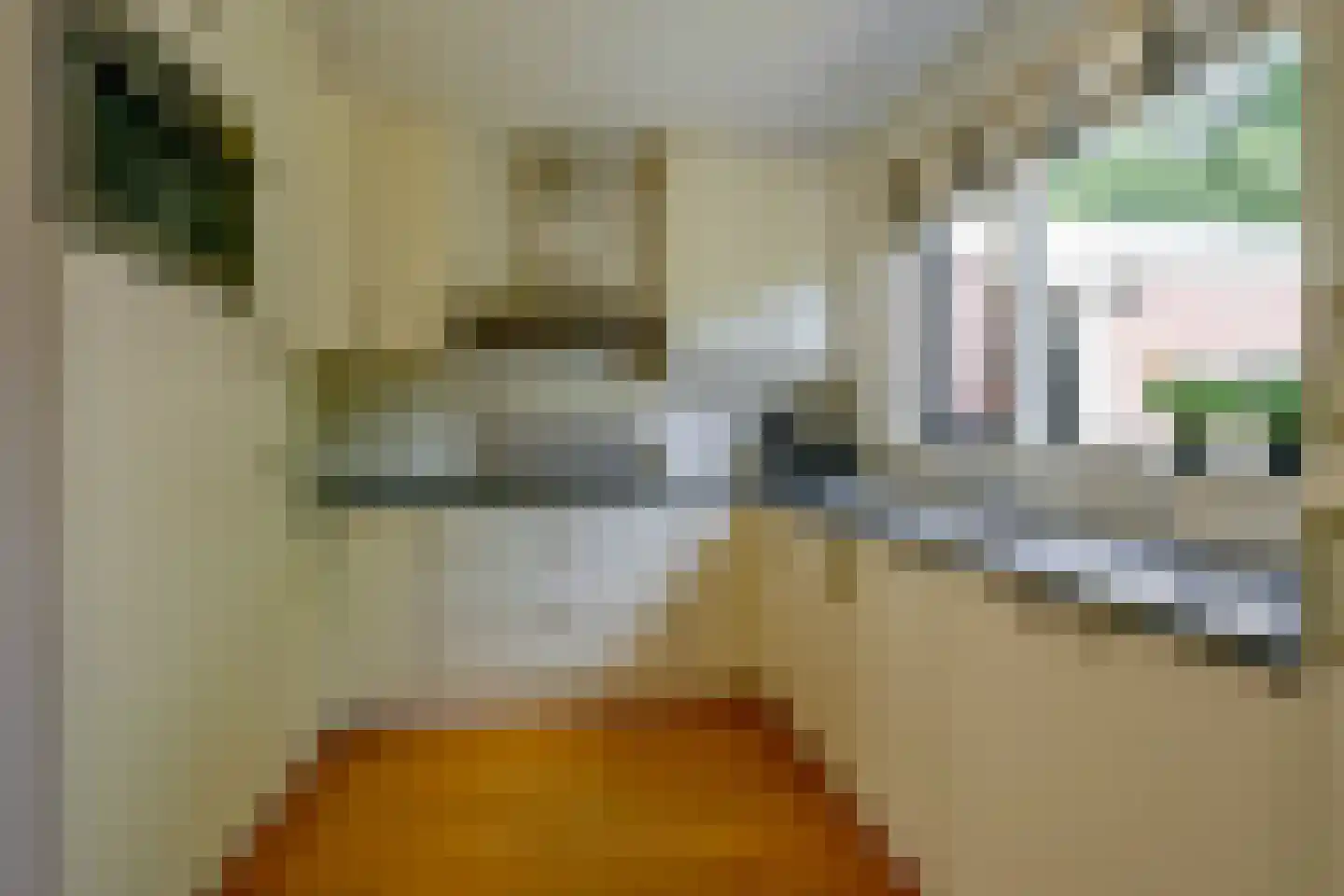 Schelf 7 Wieringerwerf thumbnail 12