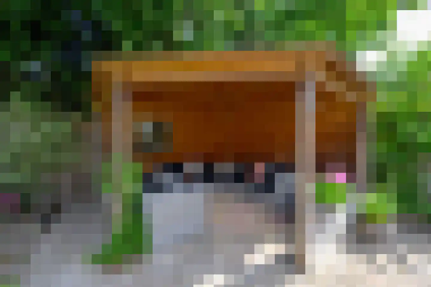 Schelf 7 Wieringerwerf thumbnail 15
