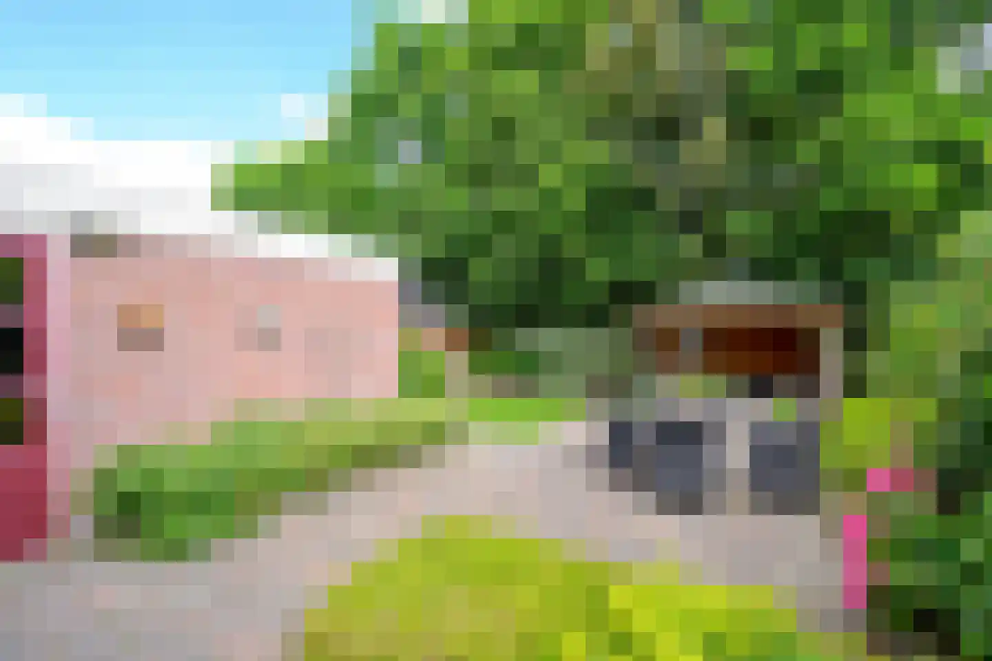 Schelf 7 Wieringerwerf foto 3