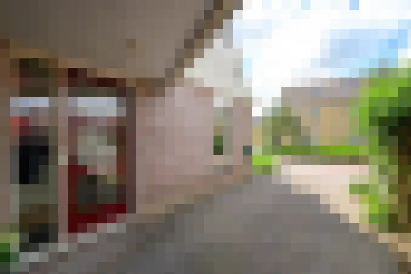 Schelf 7 Wieringerwerf thumbnail 32