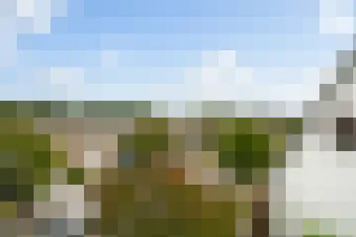 Schelfhorst 13 Alphen aan den Rijn thumbnail 22