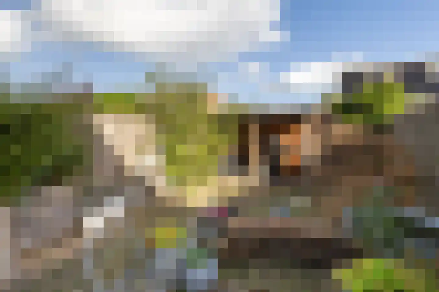 Schelfhorst 157 Alphen aan den Rijn thumbnail 18