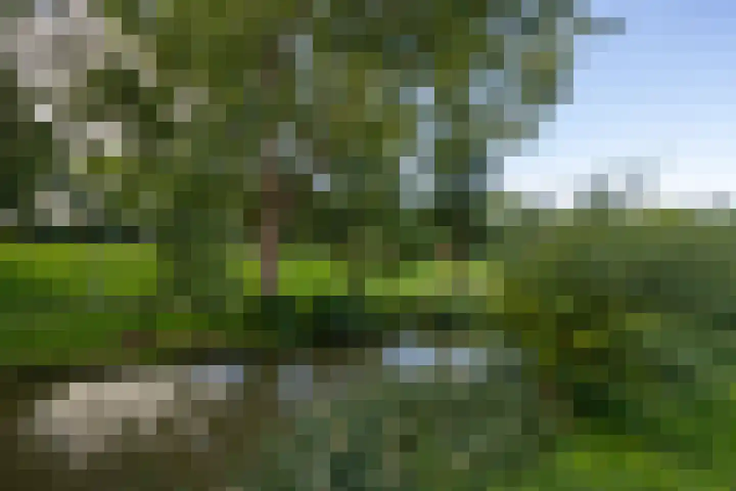 Schelfhorst 157 Alphen aan den Rijn thumbnail 23