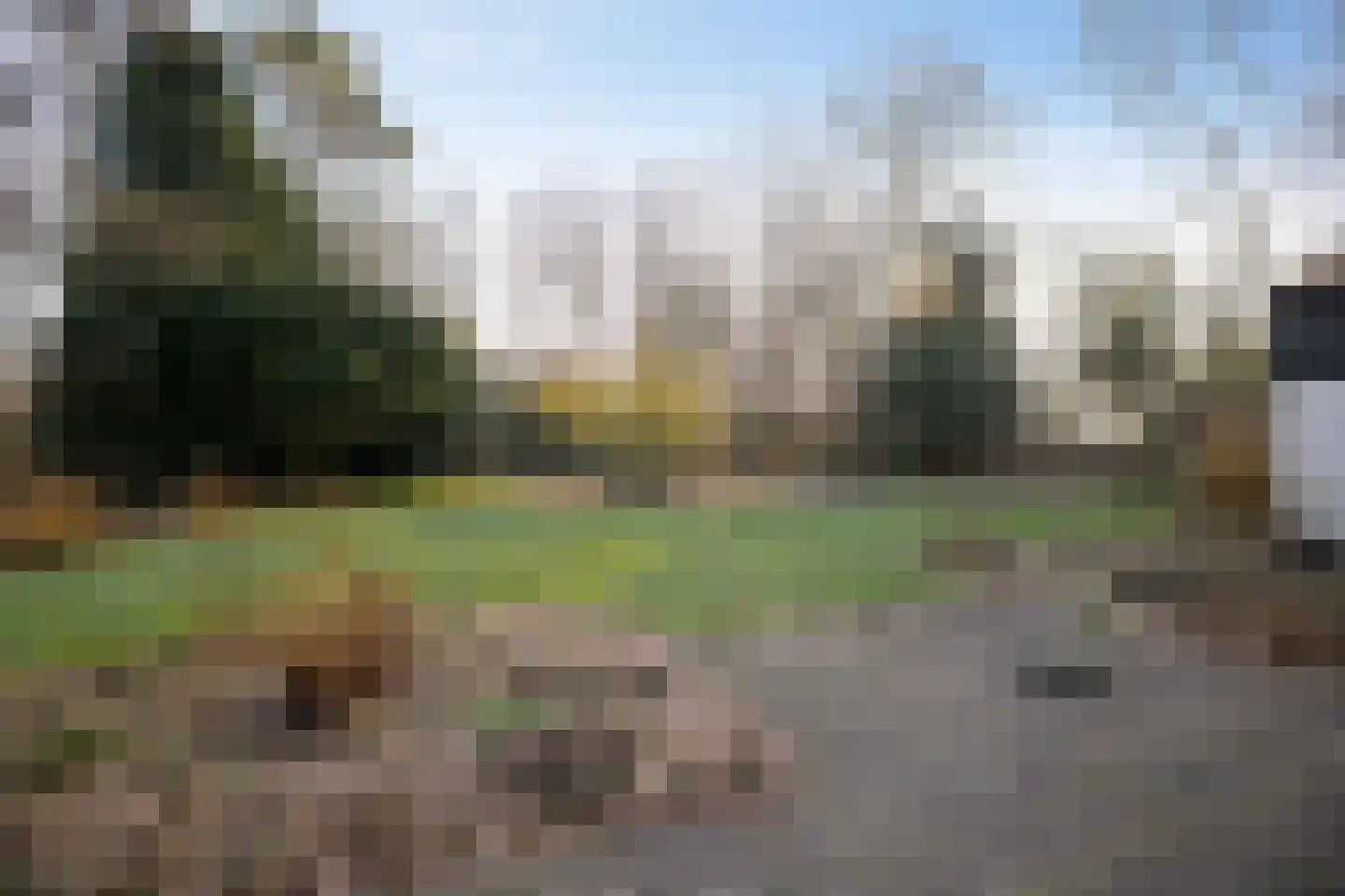 Schelfhorst 16 Paterswolde thumbnail 23