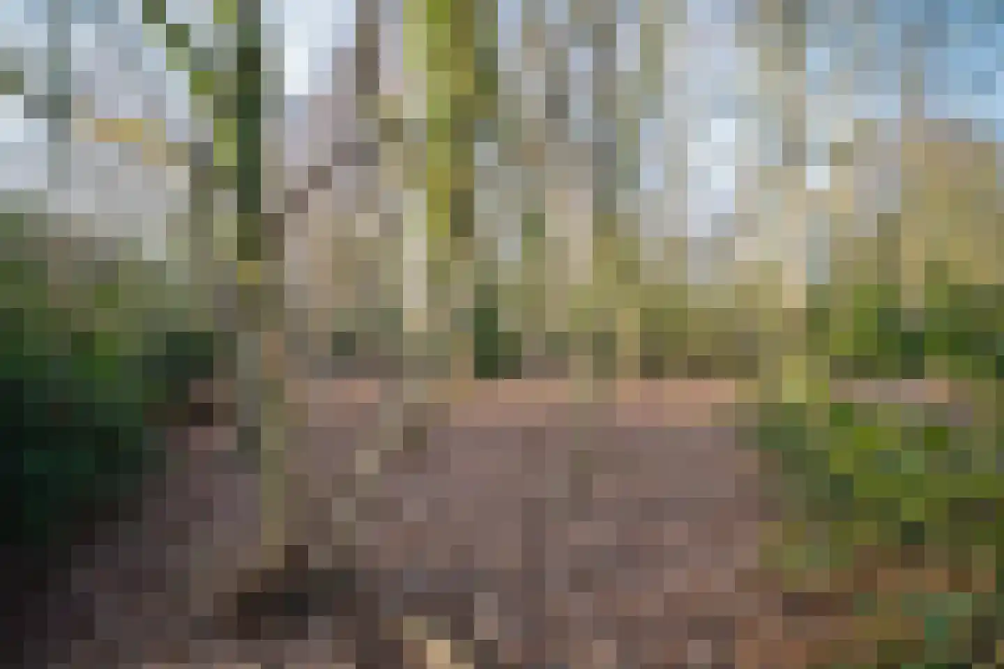 Schelfhorst 16 Paterswolde thumbnail 24