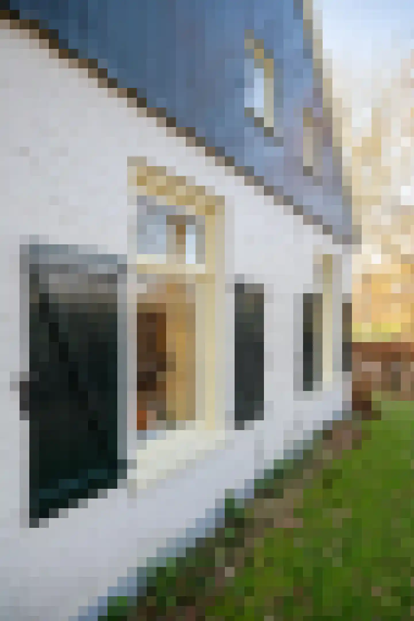 Schelfhorst 16 Paterswolde thumbnail 26