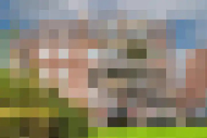 Schelfhorst 17 in Alphen aan den Rijn