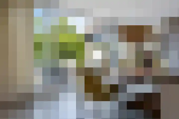 Schelfhorst 24 Paterswolde thumbnail 16