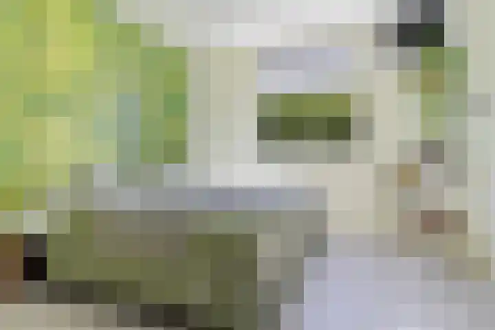 Schelfhorst 24 Paterswolde thumbnail 19