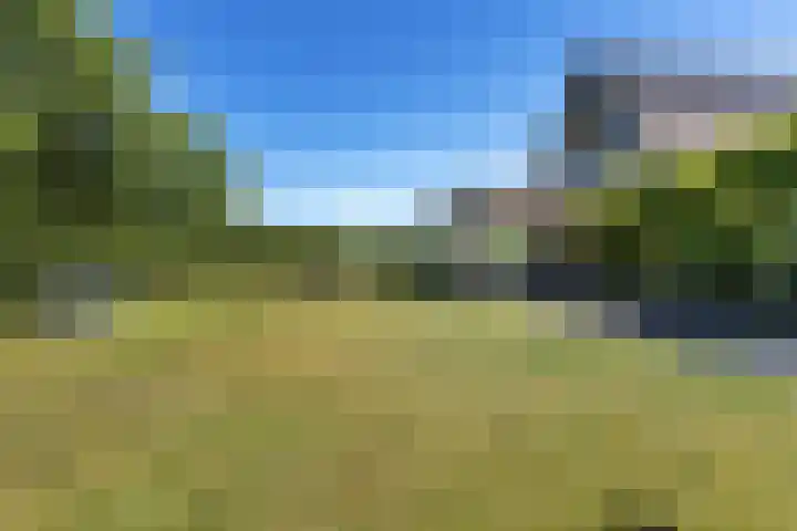 Schelfhorst 24 Paterswolde thumbnail 37