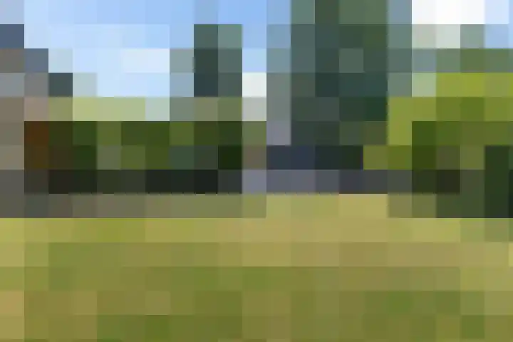 Schelfhorst 24 Paterswolde thumbnail 38