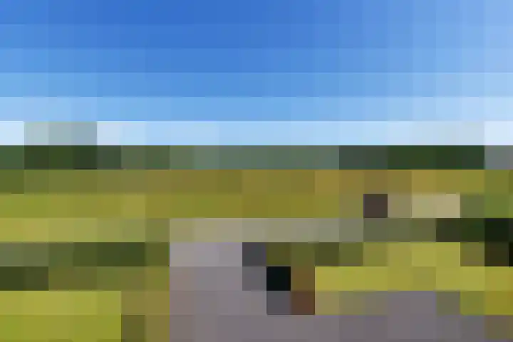 Schelfhorst 24 Paterswolde thumbnail 4