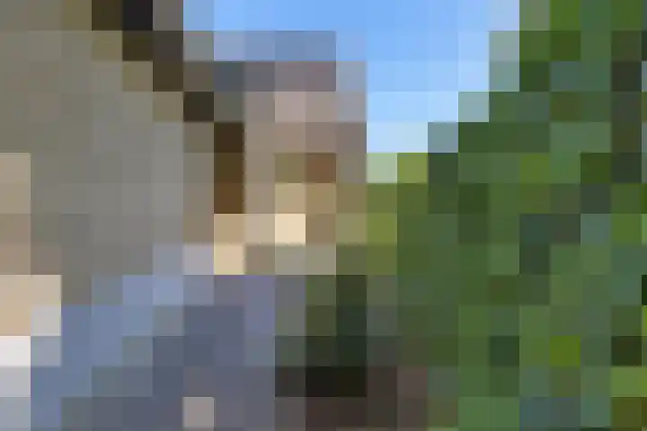 Schelfhorst 24 Paterswolde thumbnail 40