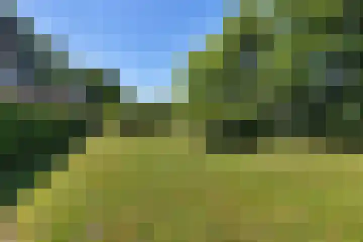 Schelfhorst 24 Paterswolde thumbnail 41