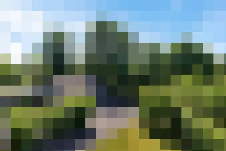 Schelfhorst 24 Paterswolde thumbnail 42