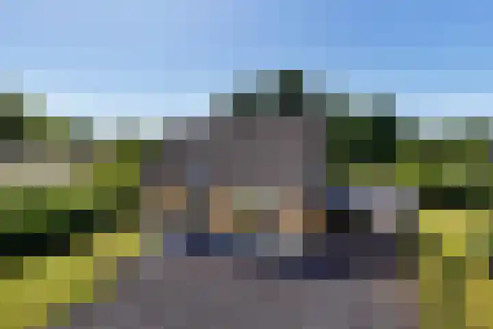 Schelfhorst 24 Paterswolde thumbnail 43