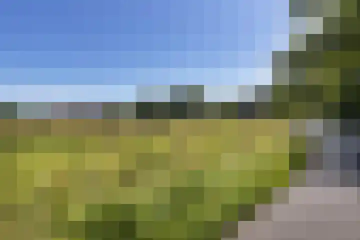 Schelfhorst 24 Paterswolde thumbnail 44