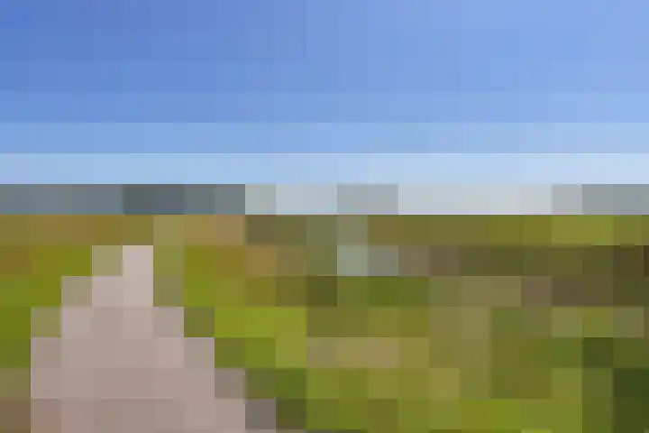 Schelfhorst 24 Paterswolde thumbnail 45