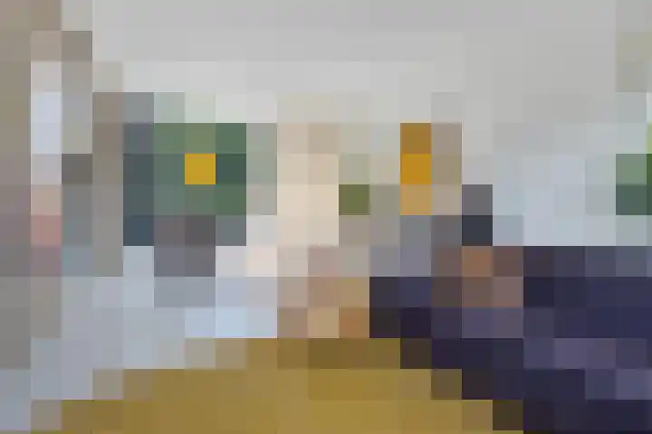 Schelfhorst 24 Paterswolde thumbnail 9