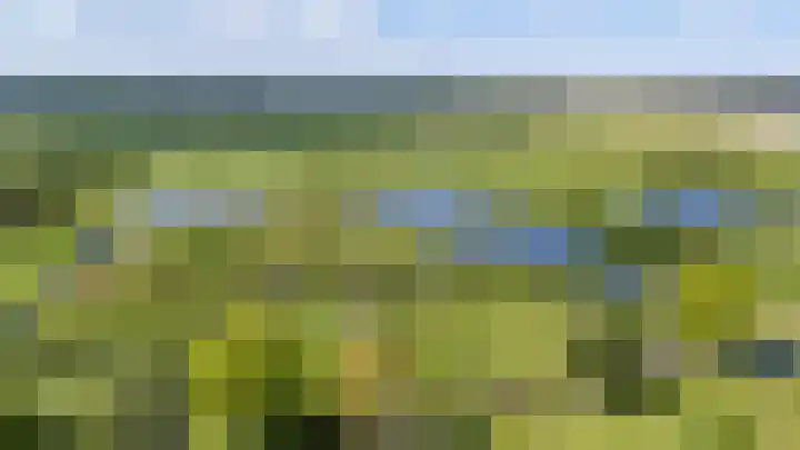 Schelfhorst 32 Paterswolde thumbnail 5