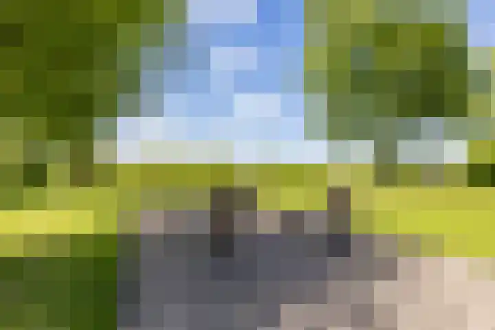Schelfhorst 32 Paterswolde thumbnail 50
