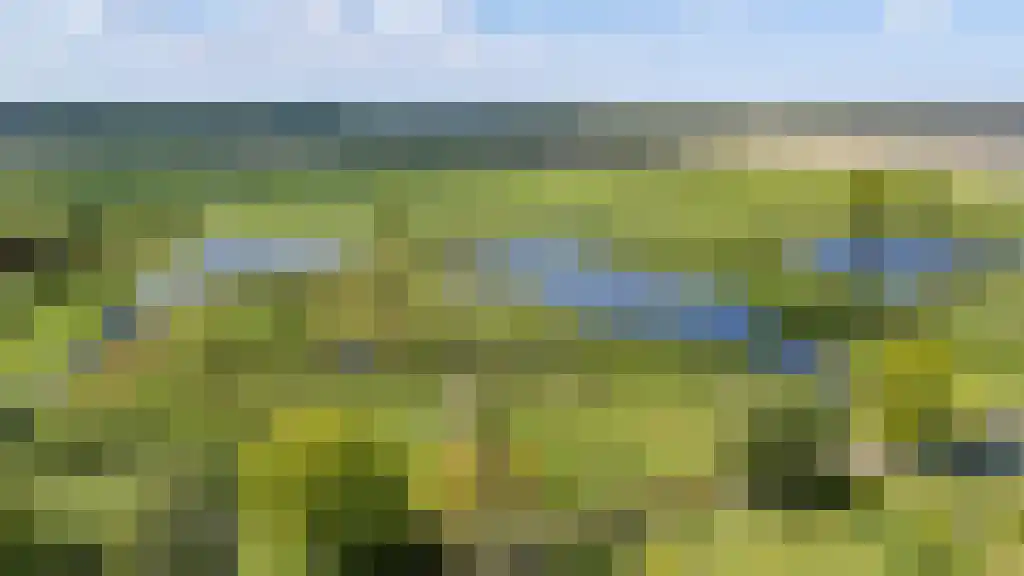 Schelfhorst 32 Paterswolde thumbnail 7