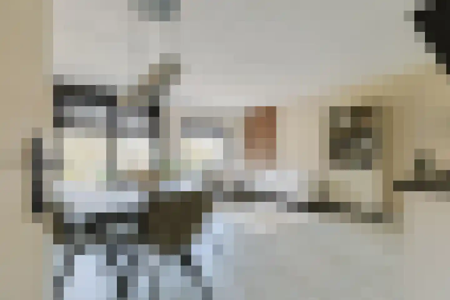 Schelfhorst 5 Alphen aan den Rijn thumbnail 12